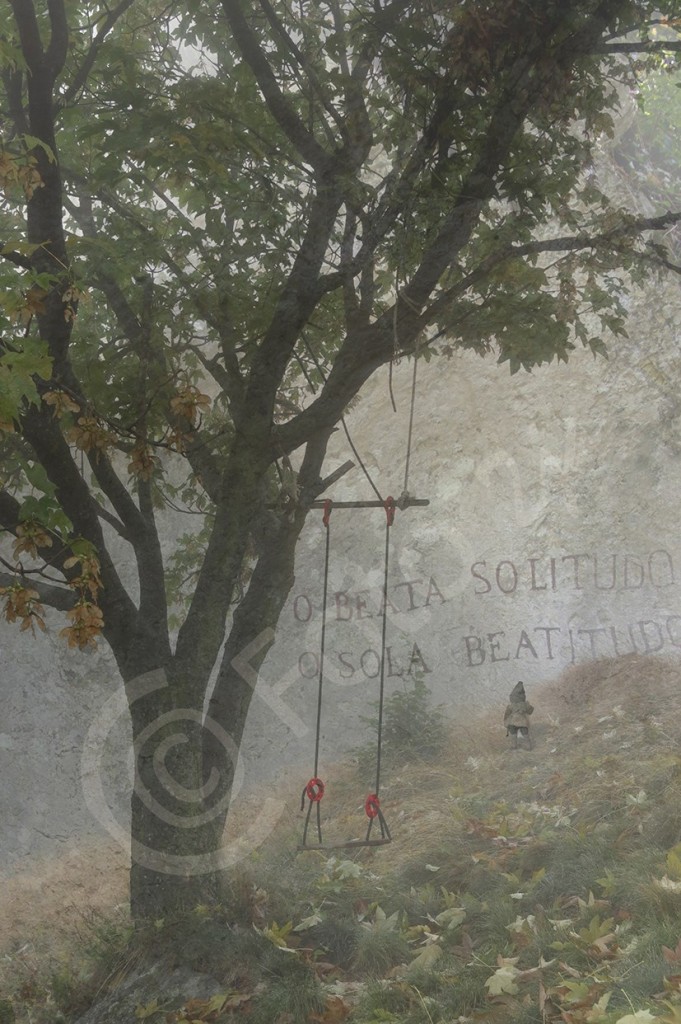 Der einsame Wanderer